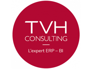 Logo TVH Consulting