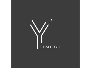 Logo Y Stratégie