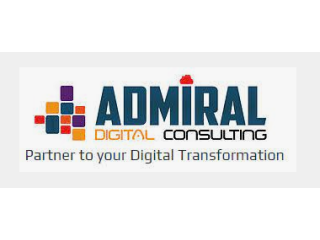 Admiral Digital Consulting