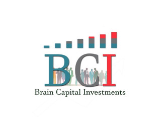 BCI - Brain Capital Investments